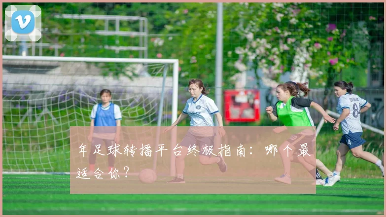 年足球转播平台终极指南：哪个最适合你？